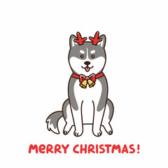 Siberian husky in the costume of a deer, assistant Santa Claus. Merry Christmas card. It can be used for sticker, patch, card, poster, t-shirt, mug and other design.