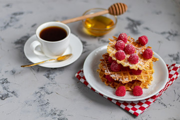 Traditional Belgian waffles with fresh fruits, sprinkled with powdered sugar and cocoa. You can eat for breakfast with compote or coffee. Holiday breakfast. Copy space.  
