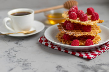 Traditional Belgian waffles with fresh fruits, sprinkled with powdered sugar and cocoa. You can eat for breakfast with compote or coffee. Holiday breakfast. Copy space.  