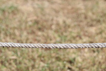 rope on dry grass background.
