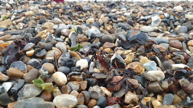 Plastic bottle top is picked up from a beach