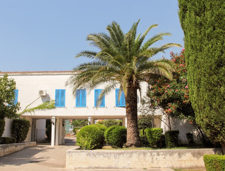 Fototapeta na wymiar Palm tree in front of summer resort building.