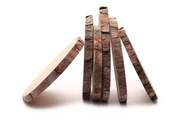 Cross section of tree trunks, stumps, isolated on white background