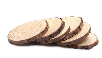 Cross section of tree trunks, stumps, isolated on white background