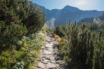 Hiking trail around glacier lakes in West Tatra moutain in Slovakia
