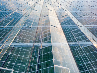 aerial view of a modern agricultural greenhouse in the Netherlands that uses artificial light to support the growth of the plants; Westland, Netherlands