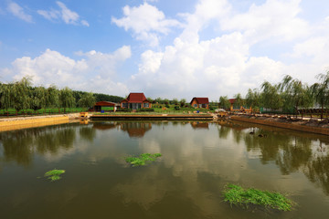 Obraz premium Summer view of the pond in the park