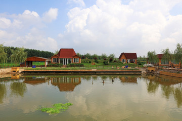 Summer view of the pond in the park