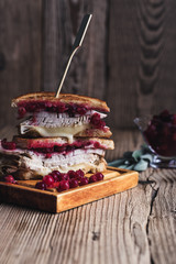 Thanksgiving turkey sandwich with brie cheese and cranberry sauce