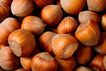 Hazelnut background