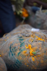 Bag of flowers