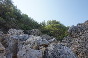 Stones and trees on the mountain