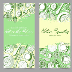 Hand drawn vertical banner template with medicals herbs and kitchen elements in sketch style. Background with mortar with pestle. Best fot home made natural cosmetics or alternative medicine.