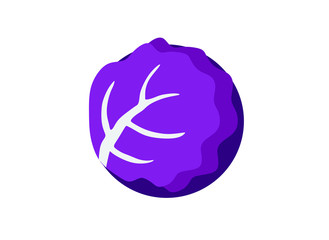 abstract purple cabbage on a white background