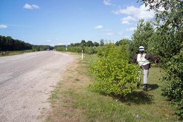 Latvia: July, 2018 - road number p111 in Latvia