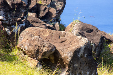 Fototapeta na wymiar Stone petroglyphs in the village of Orongo in Easter Island. Easter Island, Chile