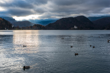 Island in Lake Bled. Dreamlike atmosphere for the Church of S. Maria Assunta. slovenia
