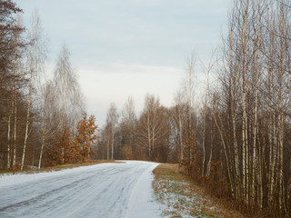 first snow. winter forest snowy white road