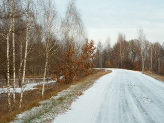 Fototapeta premium first snow. winter forest snowy white road