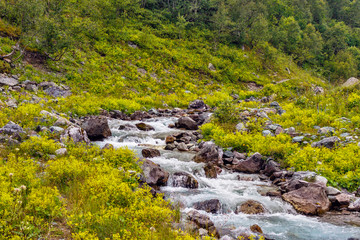 mountain stream flows over stones in a green valley