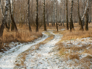 first snow. winter forest snowy white road