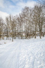 Fototapeta na wymiar road in winter forest