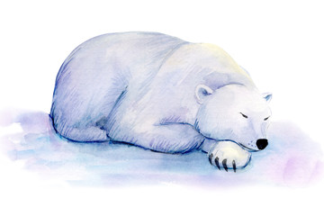 polar bear, winter animals on an isolated white background, watercolor illustration