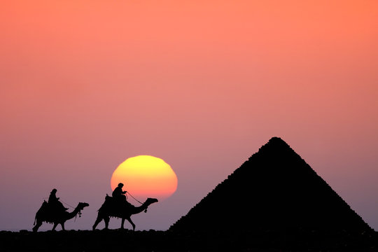 camel bedouin silhouette at giza pyramids cairo egypt at sunset