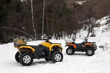 Two ATV in a snowy forest. 