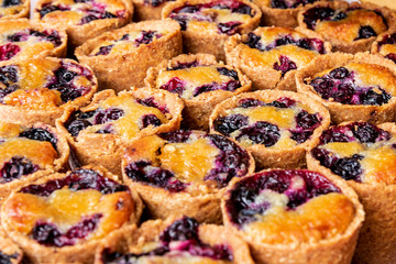 Organic tartlets of blueberries and apricots in a market of organic products. Leon, Spain