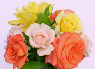 A bouquet of colorful roses on a pink background