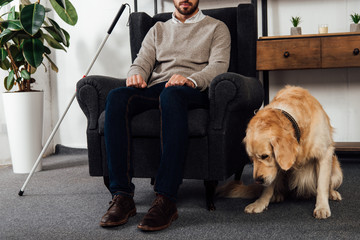 Cropped view of golden retriever sitting beside blind man in armchair at home