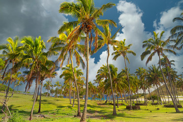 Fototapeta premium Beach Easter Island