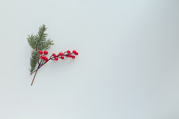 Red berries and a Christmas tree branch on a white background. Christmas composition.