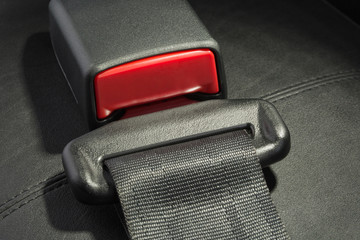 seat belt