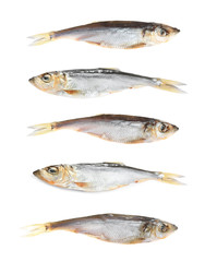 Set of tasty dry fish on white background