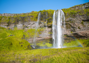Obraz premium Iceland landscape. Seljalandfoss Waterfalls in summer season