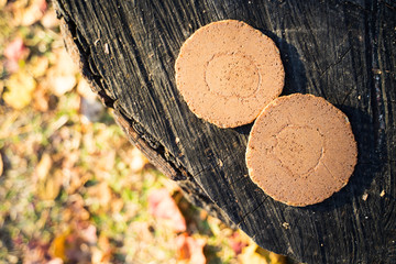 Nara park Deer Rice cracker  奈良公園　シカせんべい