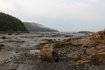 Brume au bord du fleuve