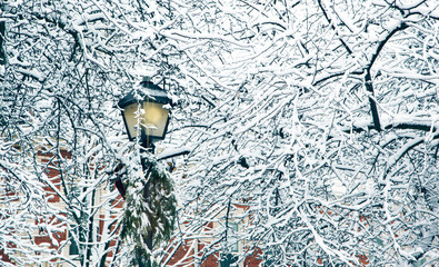 Street Christmas lamp and beautiful snow covered branches. Christmas concept.