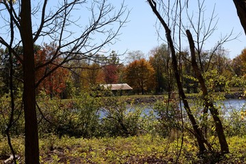A view of the lake though the autumn trees in the woods.