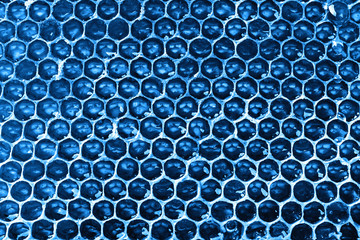 Fresh honey comb toned in blue.