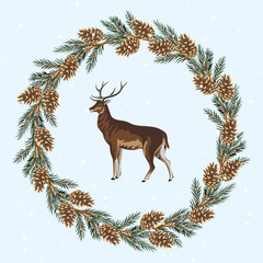 Christmas fir branch cone wreath with wild deer. Winter greeting illustration.