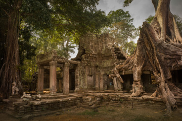 Fototapeta na wymiar Amazing old temple ruins in Cambodia