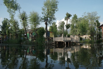 Dal lake in Srinagar, India
