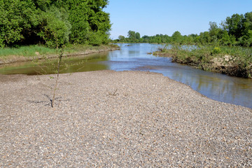 Gravel bar on the Allier River, France
