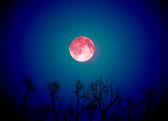 Fototapeta na wymiar Vector landscape with red moon and dark night