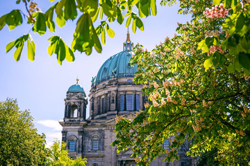 Top of Berlin Cathedral (Berliner Dom) in the frame of pink chestnut blossom, Berlin, Germany © golovianko