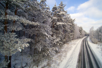 Fresh snow in countryside of Latvia.