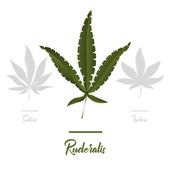 Marijuana, Cannabis icons. Set of medical marijuana icons. Drug consumption.